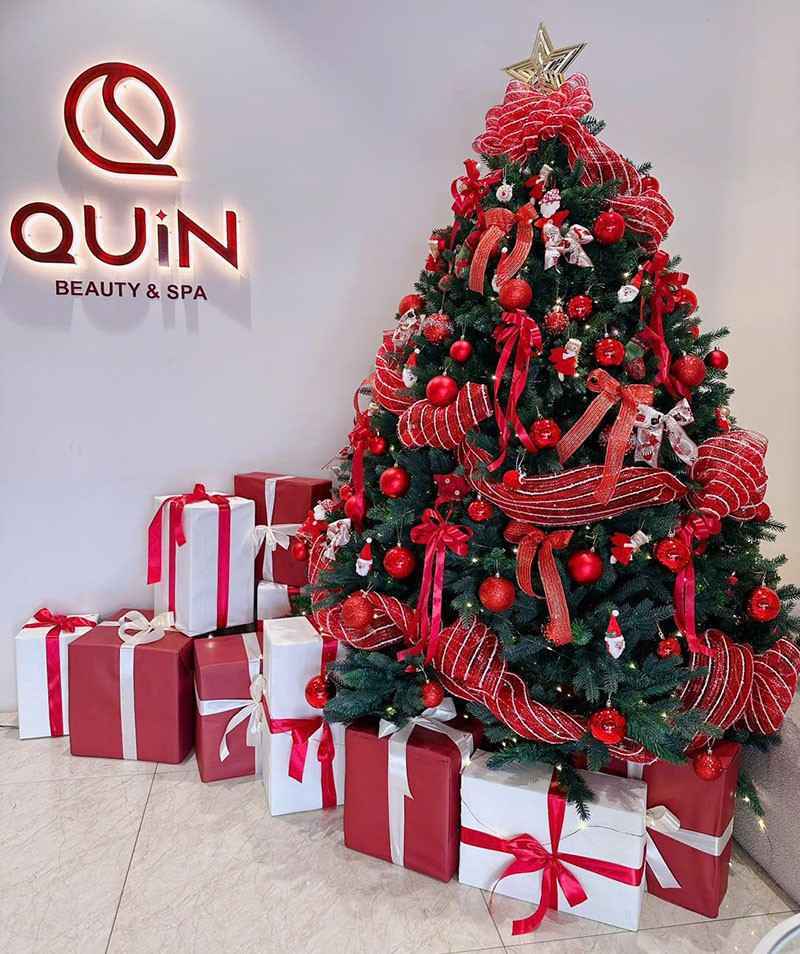  Cho Thuê Cây Thông Noel Tại Quận 10. Ảnh 2